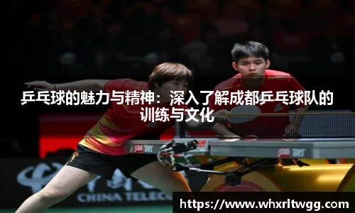 乒乓球的魅力与精神：深入了解成都乒乓球队的训练与文化